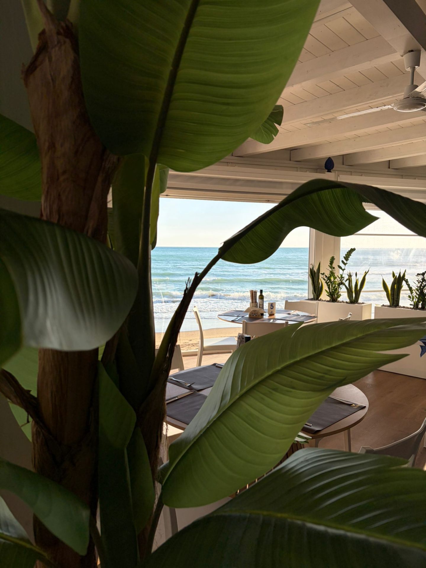 Foglie di banano incorniciano la vista del mare dalla sala